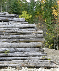 Woodlot management by Gilpatrick & Sons, Richmond, Maine.
